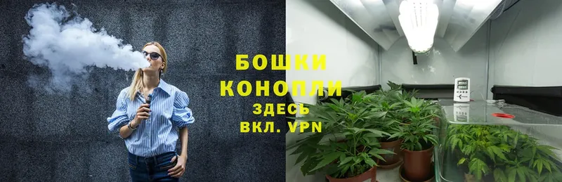 Бошки Шишки OG Kush  Электрогорск 